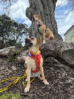 Corrina and Ramona