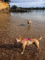Corrina and Ramona