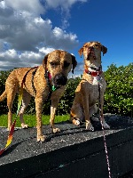Corrina and Ramona