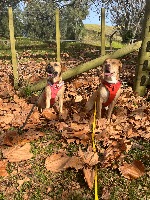 Corrina and Ramona