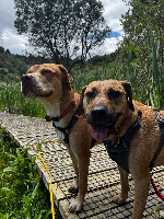Corrina and Ramona