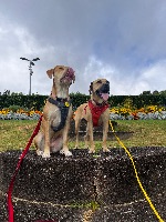 Corrina and Ramona