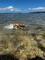 Corrina and Ramona