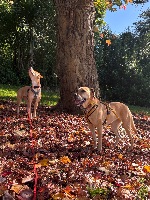 Corrina and Ramona