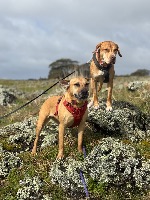 Corrina and Ramona