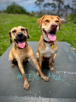 Corrina and Ramona