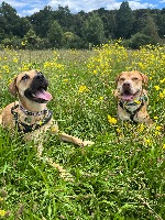 Corrina and Ramona