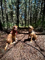 Corrina and Ramona