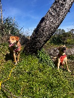 Corrina and Ramona