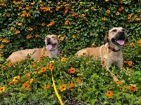 Corrina and Ramona